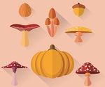 8 autumn fruit design vector